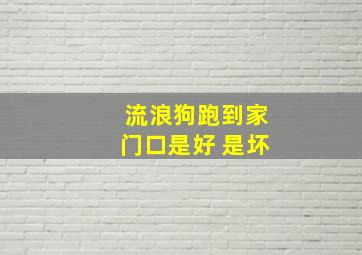 流浪狗跑到家门口是好 是坏